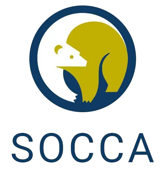 Sôcca